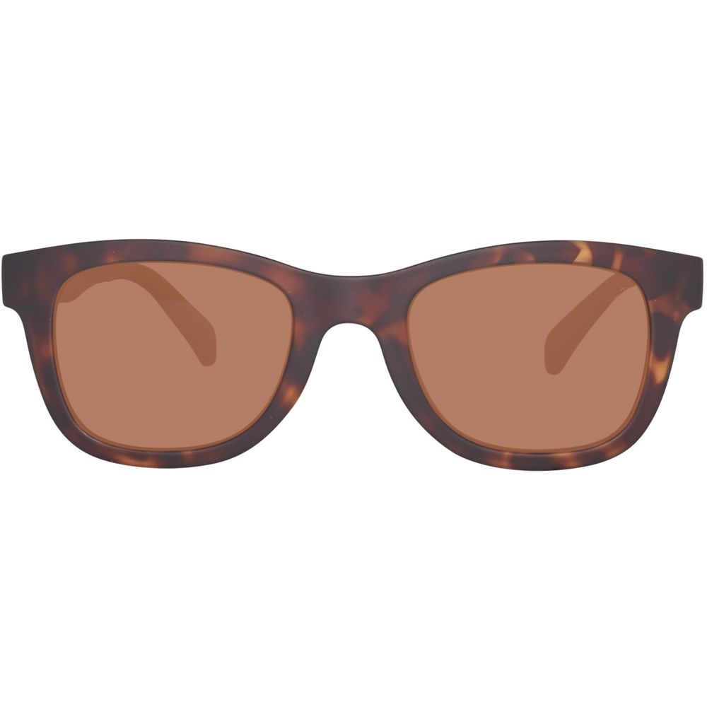 Timberland Brown Injected Sunglasses | Regal Royce