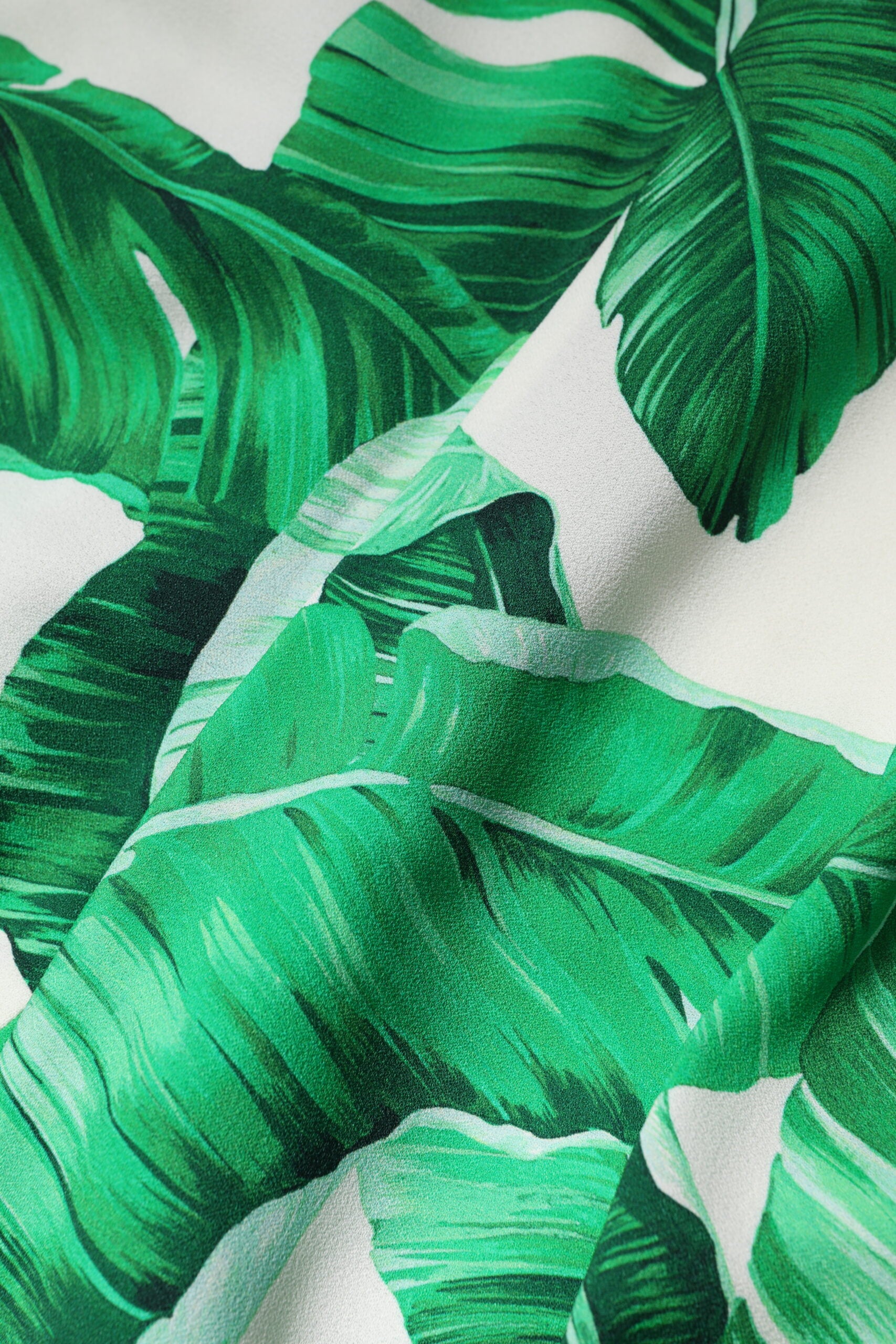 Dolce & Gabbana White Green Leaf High Waist Pants | Regal Royce