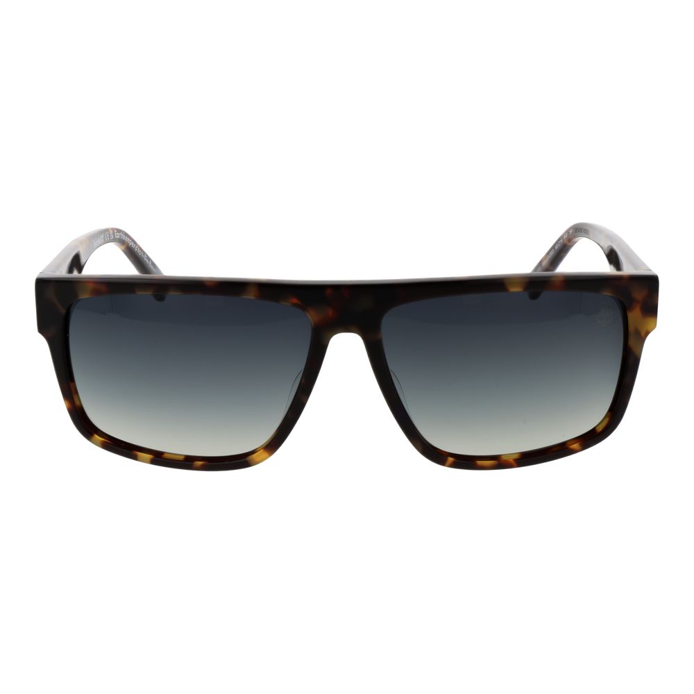 Timberland Brown Acetate Sunglasses | Regal Royce