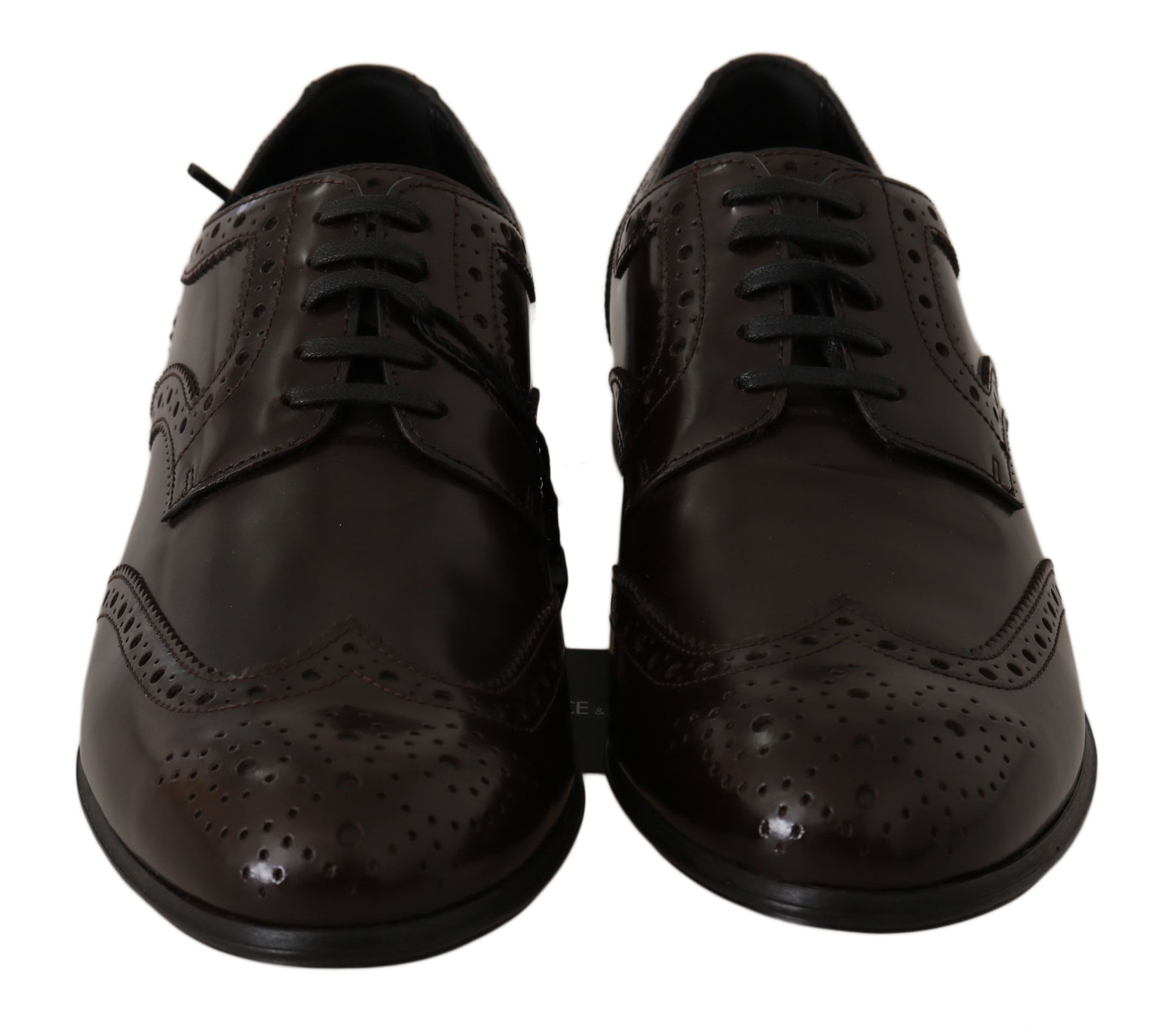 Dolce & Gabbana Brown Leather Broques Oxford Wingtip Shoes | Regal Royce