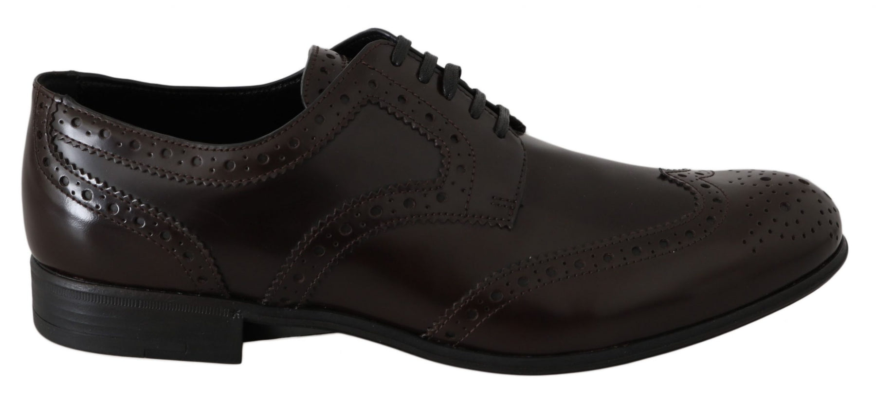 Dolce & Gabbana Brown Leather Broques Oxford Wingtip Shoes | Regal Royce