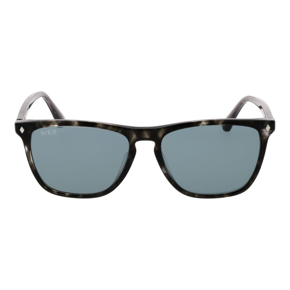 Web Black Acetate Sunglasses | Regal Royce