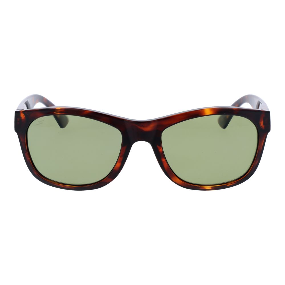 Serengeti Brown Plastic Sunglasses | Regal Royce