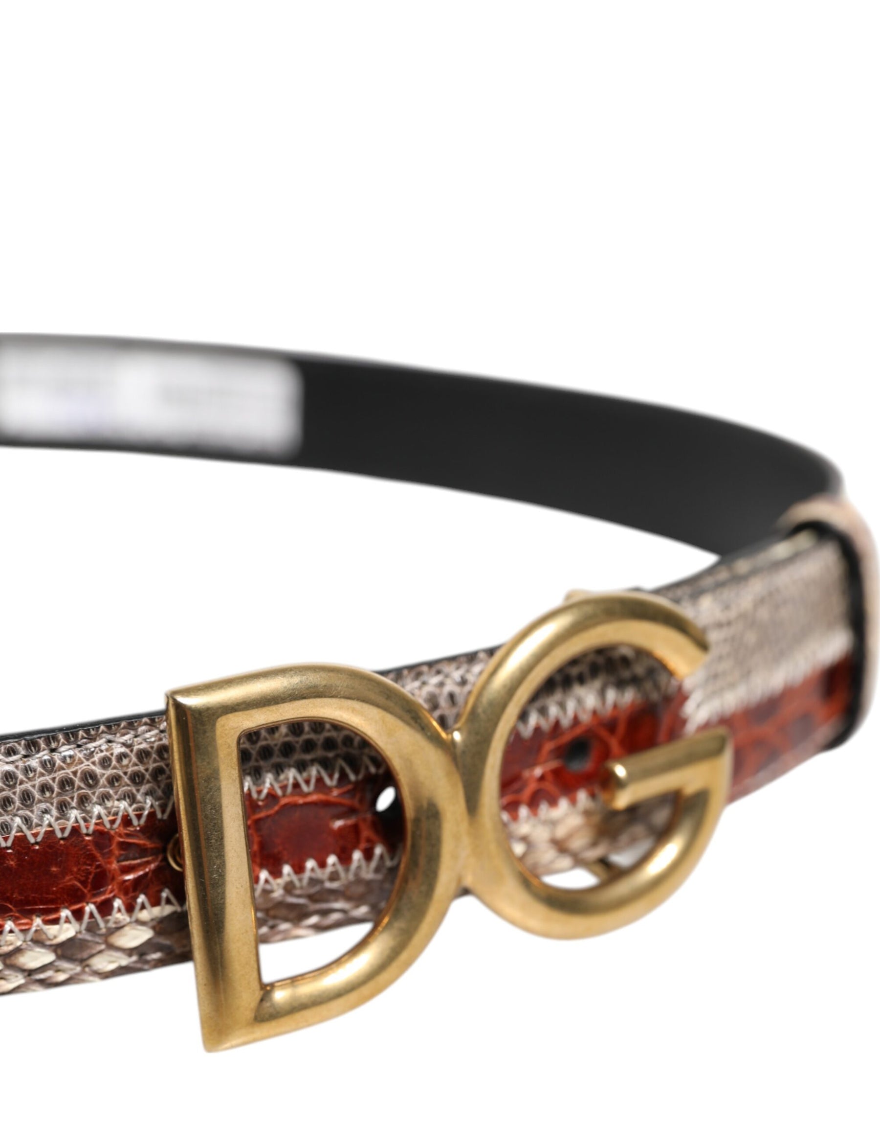 Dolce & Gabbana Multicolor Exotic Leather DG Logo Buckle Belt | Regal Royce
