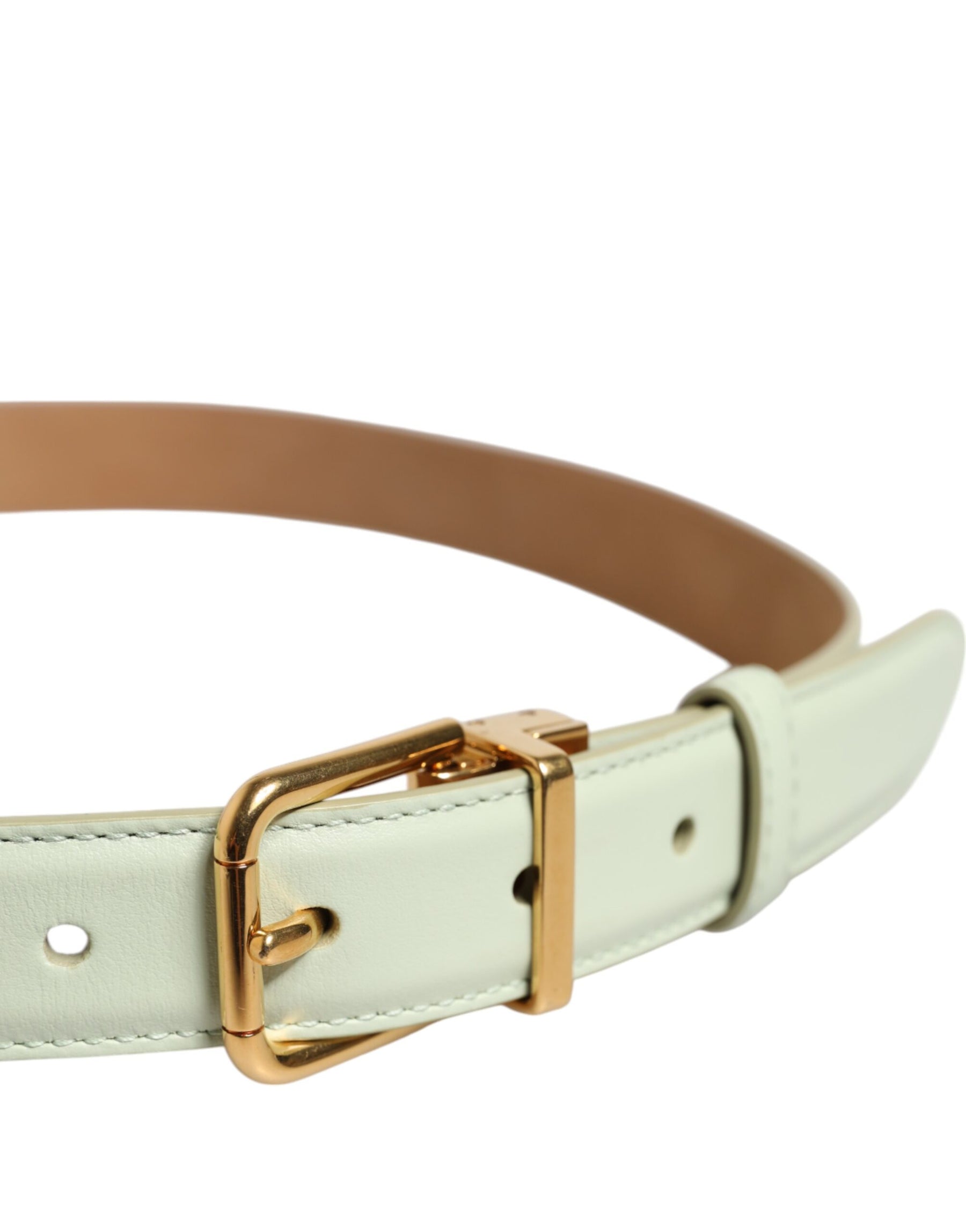 Dolce & Gabbana Light Green Leather Gold Metal Buckle Belt | Regal Royce