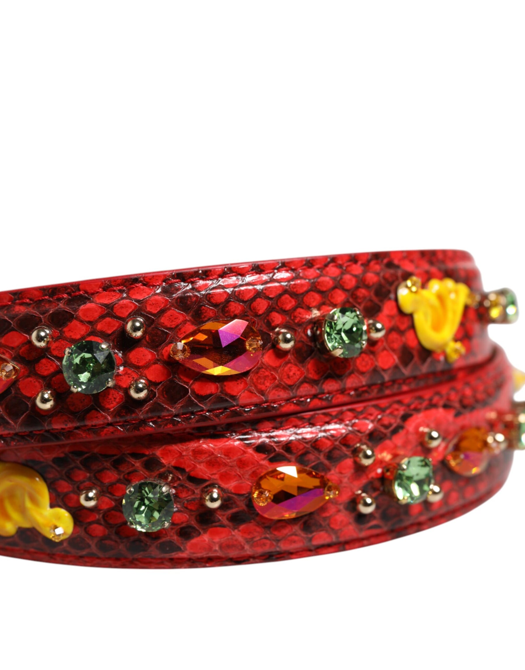 Dolce & Gabbana Multicolor Embellished Handbag Accessory Shoulder Strap | Regal Royce