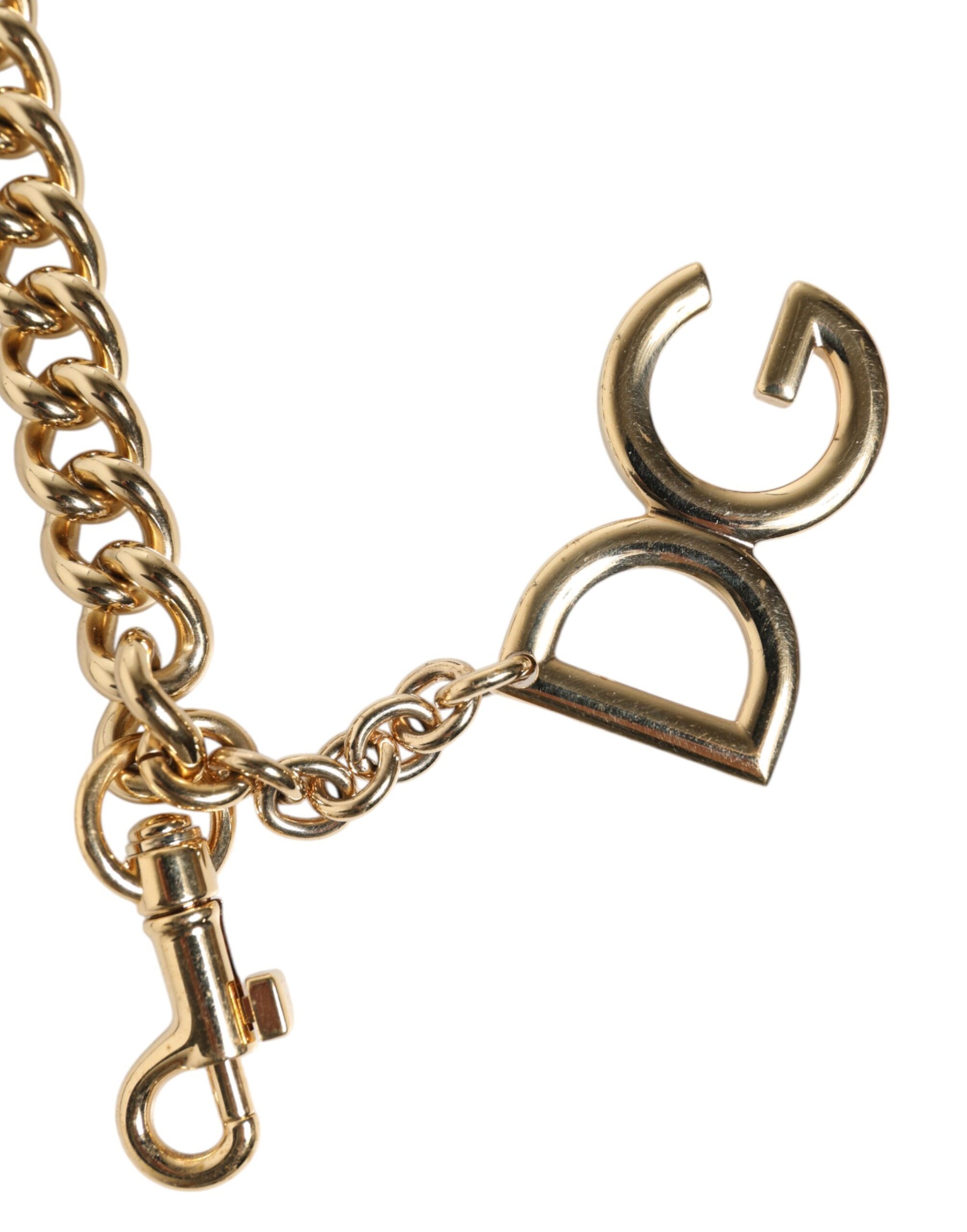 Dolce & Gabbana Brown Leopard Gold Brass Chain Accessory Shoulder Strap | Regal Royce