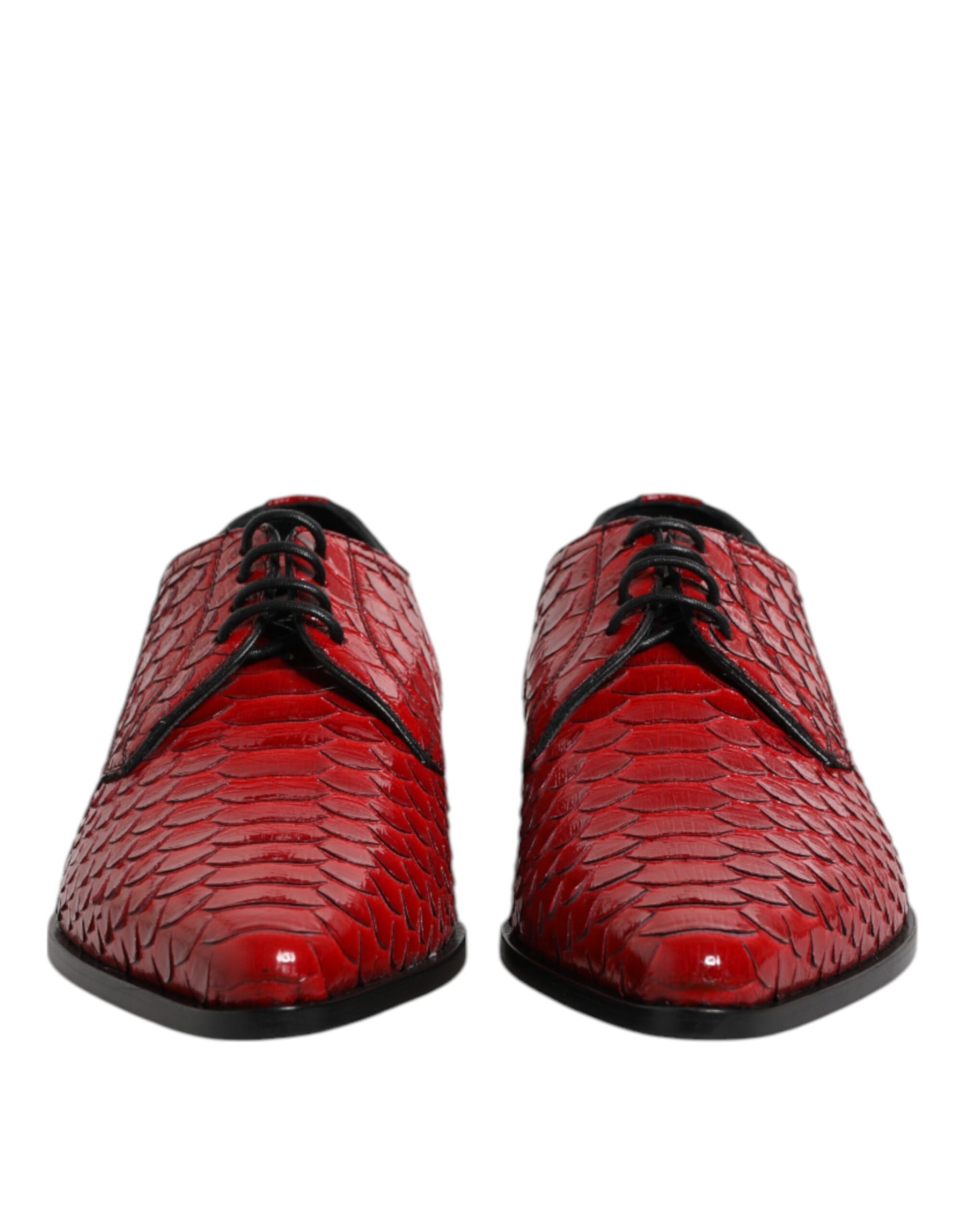 Dolce & Gabbana Red Exotic Leather Lace Up Dress Derby Shoes | Regal Royce