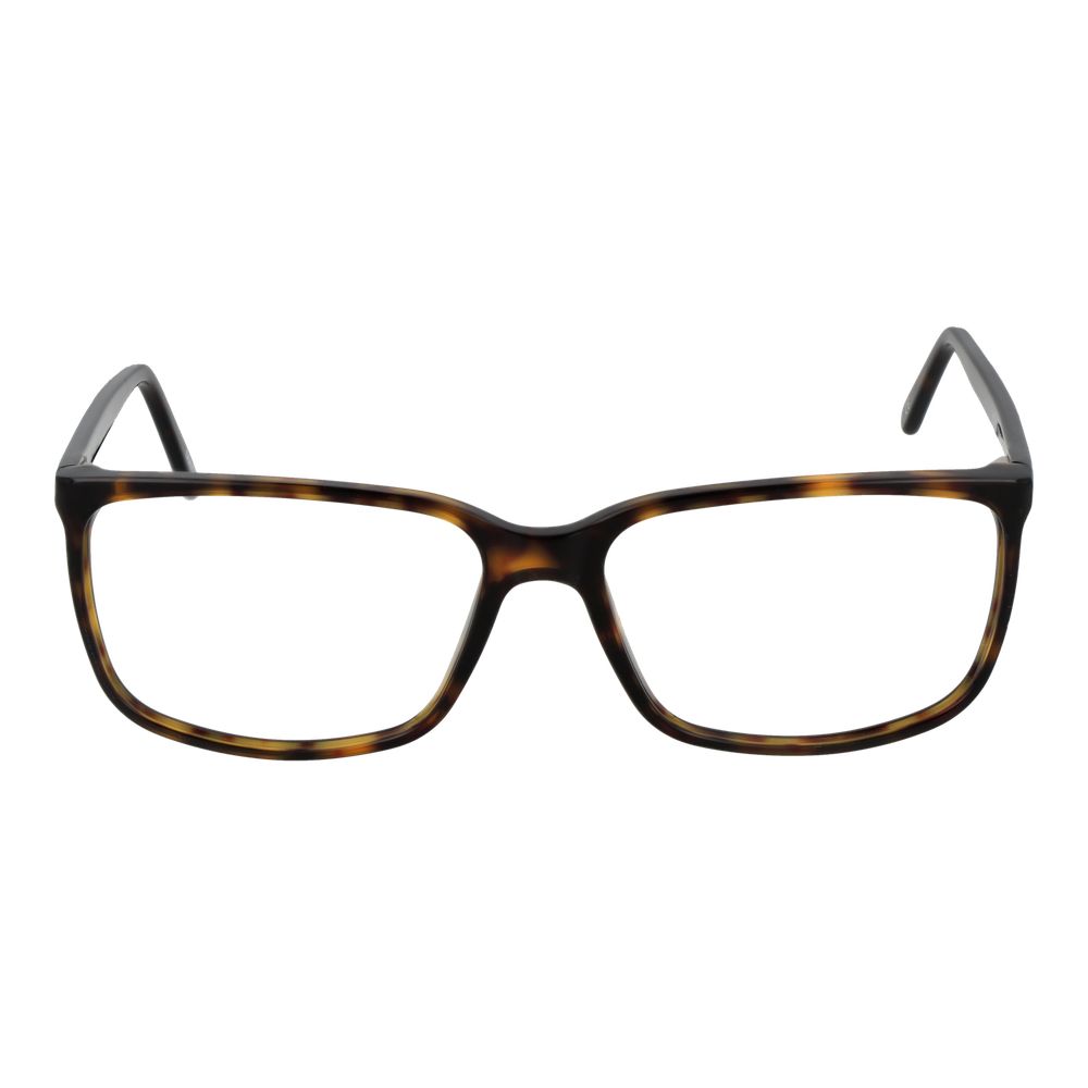 Andy Wolf Brown Acetate Glasses (Frames) | Regal Royce