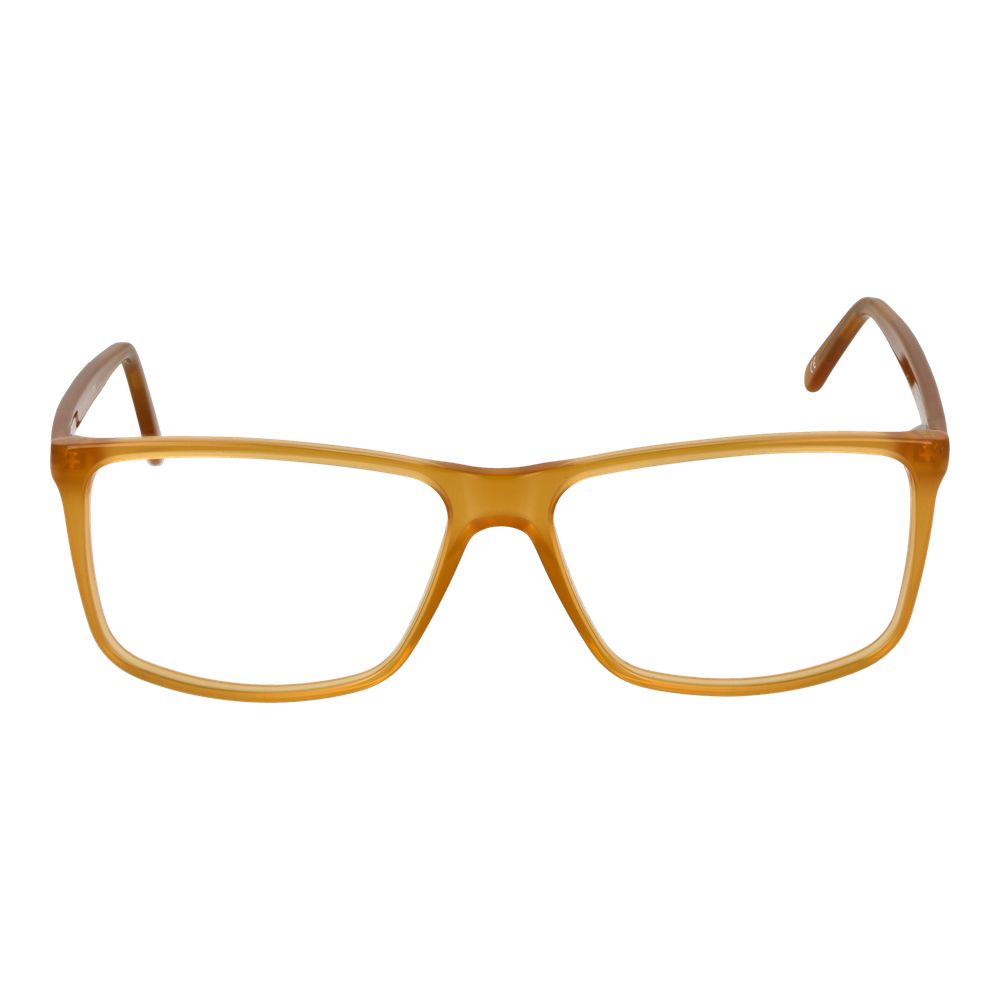 Andy Wolf Bicolor Acetate Glasses (Frames) | Regal Royce