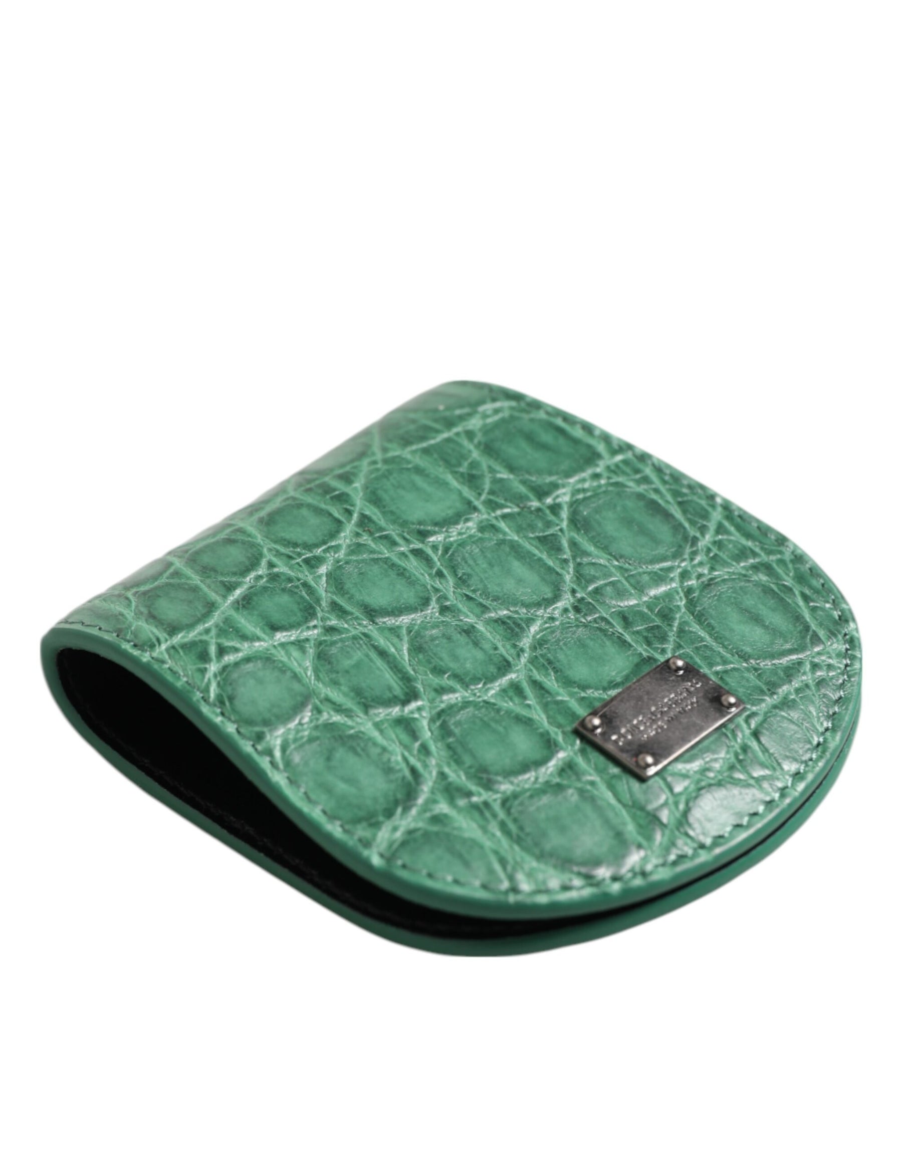 Dolce & Gabbana Green Exotic Skin Coin Condom Case Holder Pocket Wallet | Regal Royce