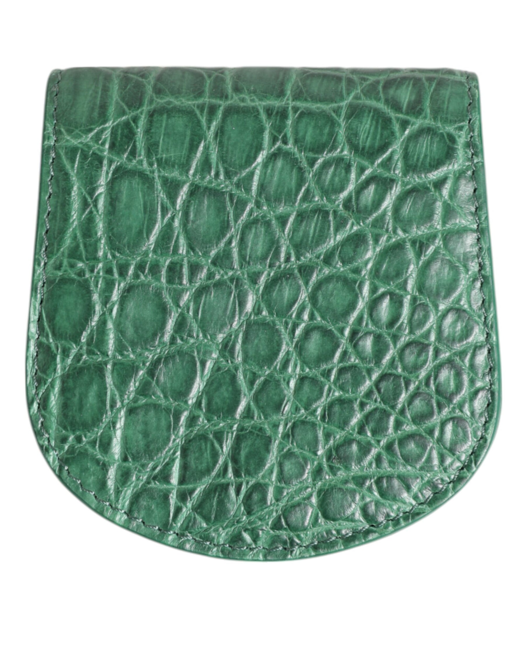 Dolce & Gabbana Green Exotic Skin Coin Condom Case Holder Pocket Wallet | Regal Royce