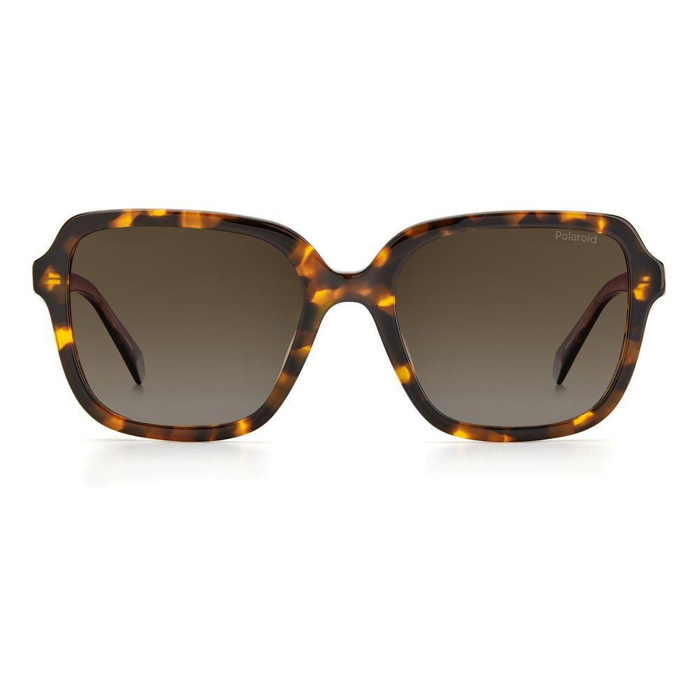 Polaroid Brown Acetate Sunglasses | Regal Royce