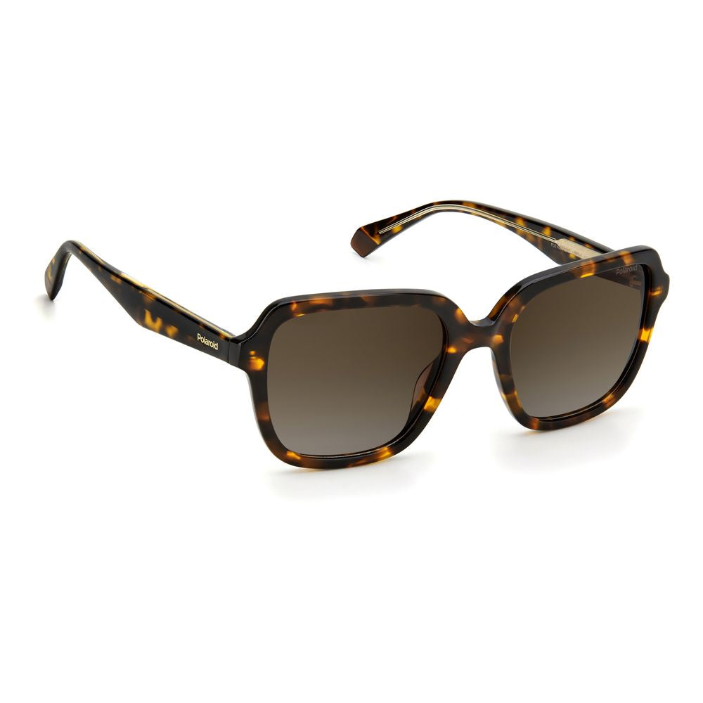 Polaroid Brown Acetate Sunglasses | Regal Royce