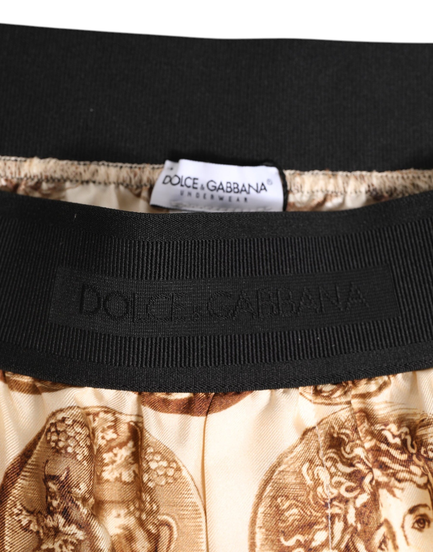 Dolce & Gabbana Brown Ancient Coin Print Silk Shorts Swimwear | Regal Royce