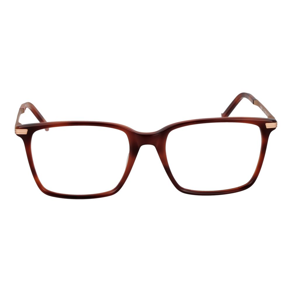 Hackett Brown Plastic Glasses (Frames) | Regal Royce