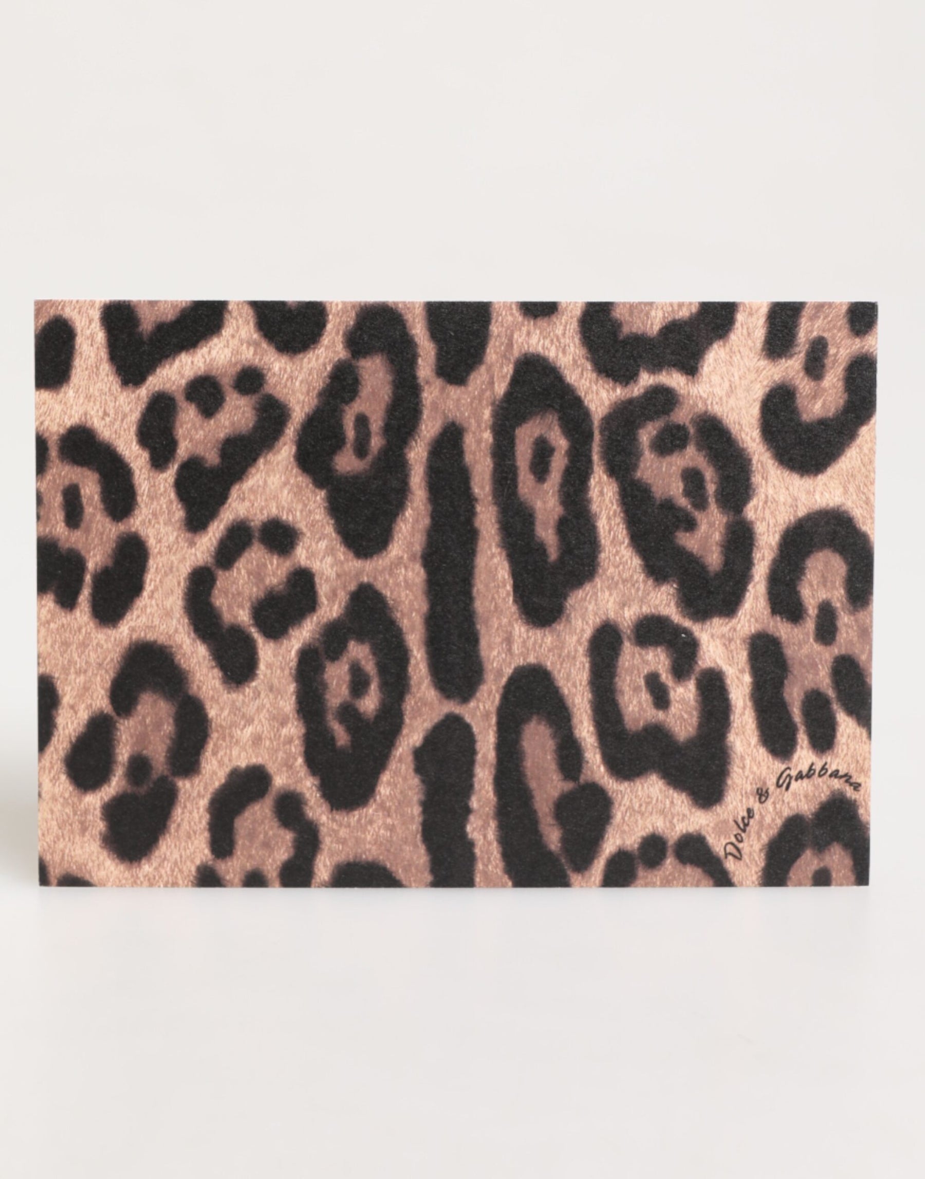 Dolce & Gabbana Multicolor Leopard Print Envelope Paper Post Card Holder | Regal Royce