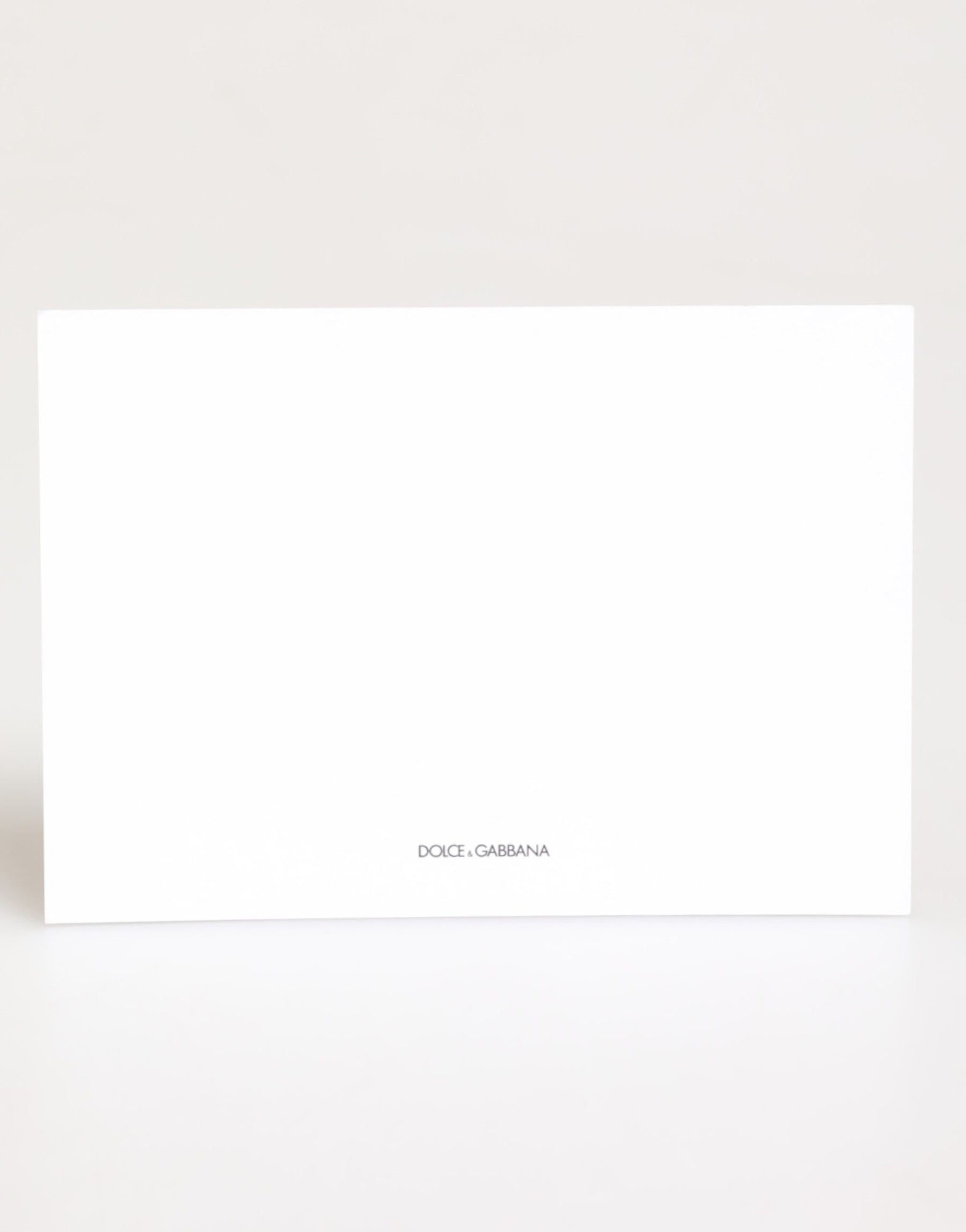 Dolce & Gabbana Multicolor Leopard Print Envelope Paper Post Card Holder | Regal Royce