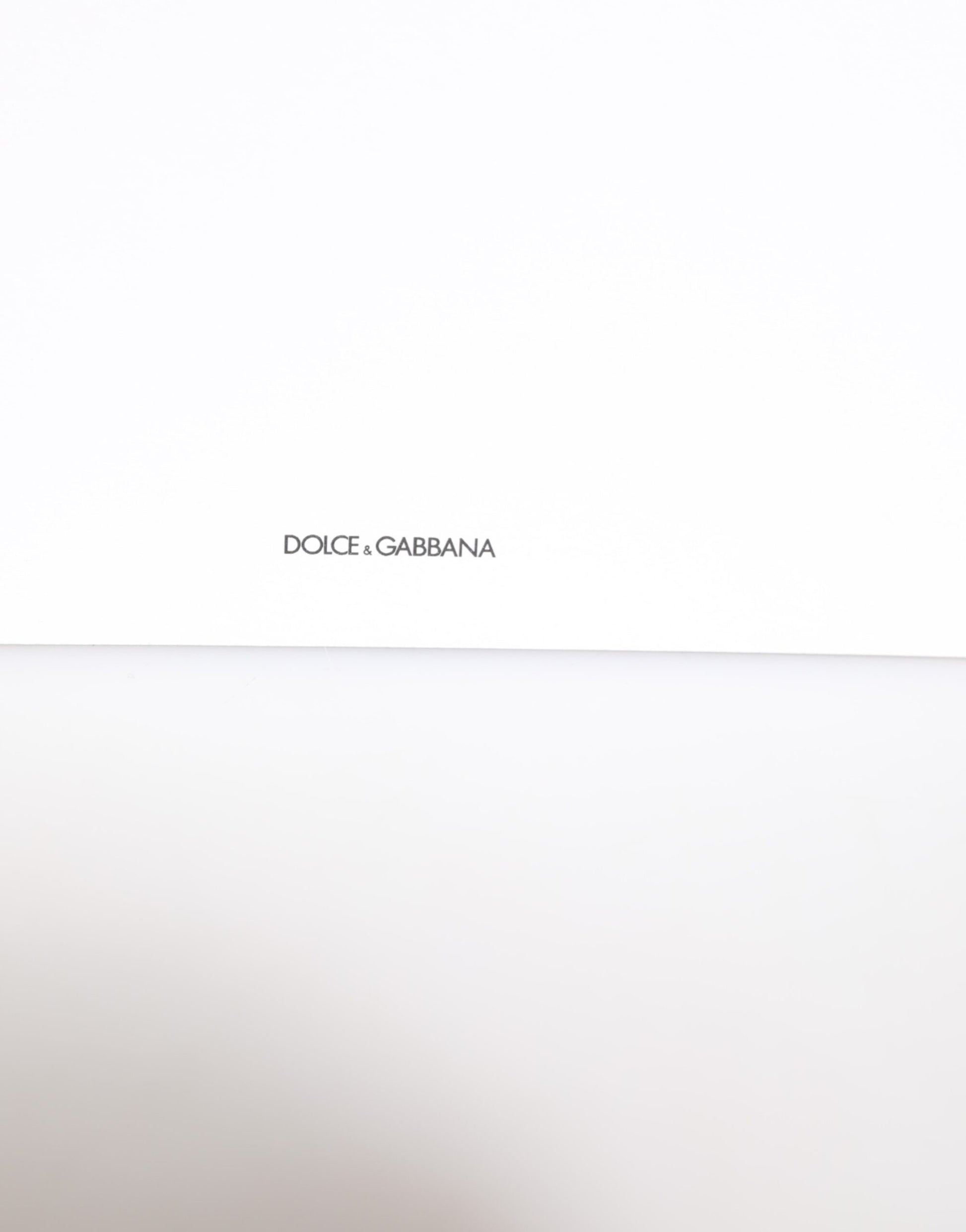 Dolce & Gabbana Multicolor Leopard Print Envelope Paper Post Card Holder