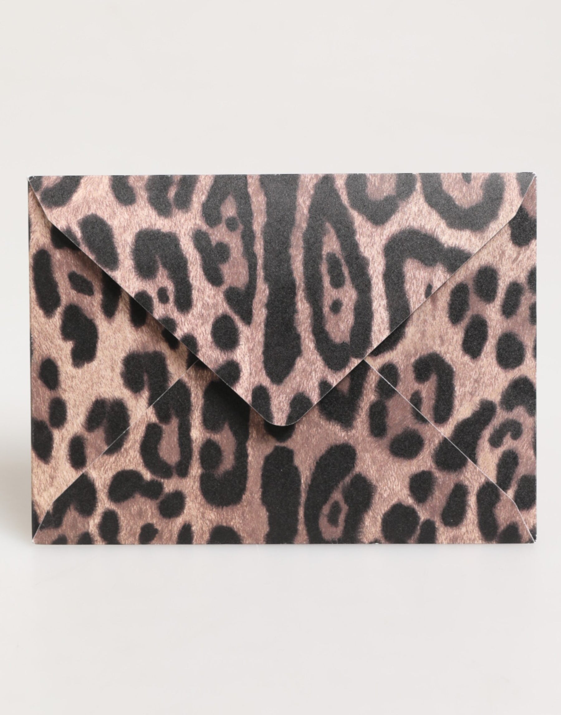 Dolce & Gabbana Multicolor Leopard Print Envelope Paper Post Card Holder | Regal Royce