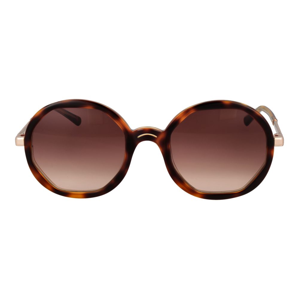Sandro Brown Acetate Sunglasses | Regal Royce