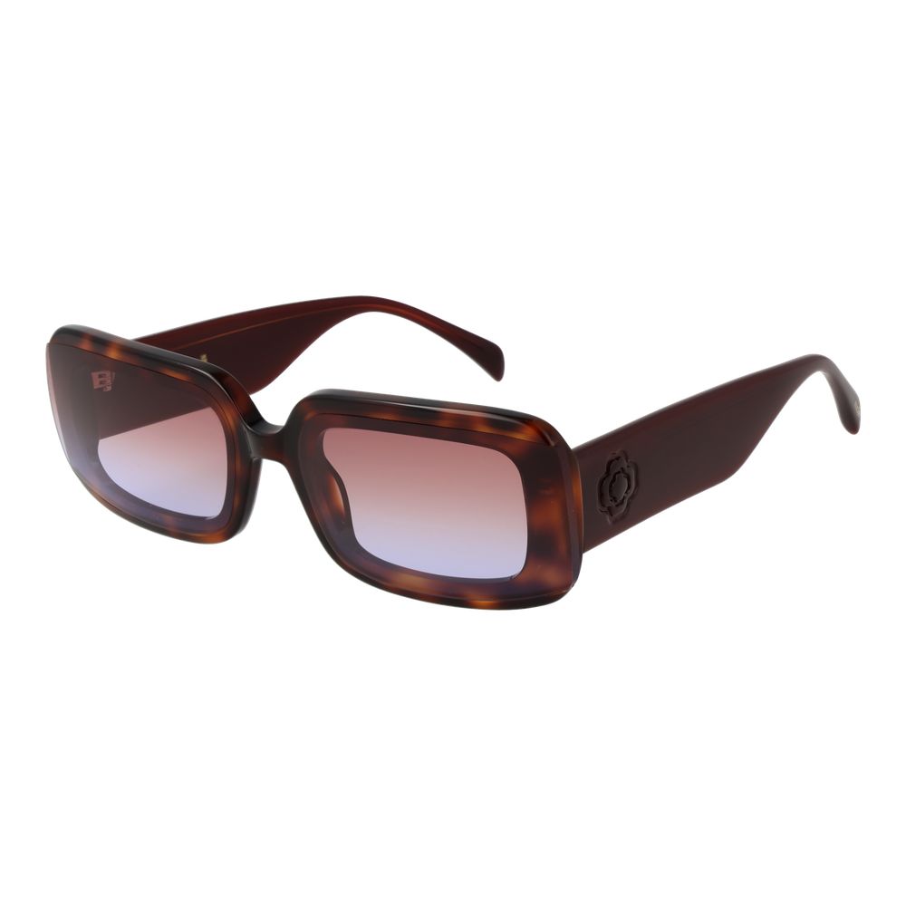 Maje Brown Acetate Sunglasses | Regal Royce