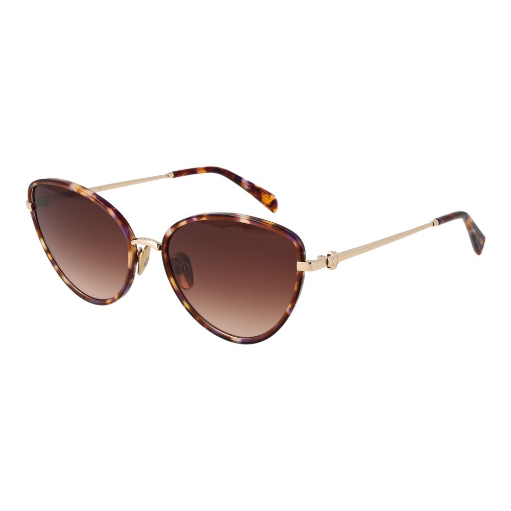 Maje Brown Acetate Sunglasses | Regal Royce