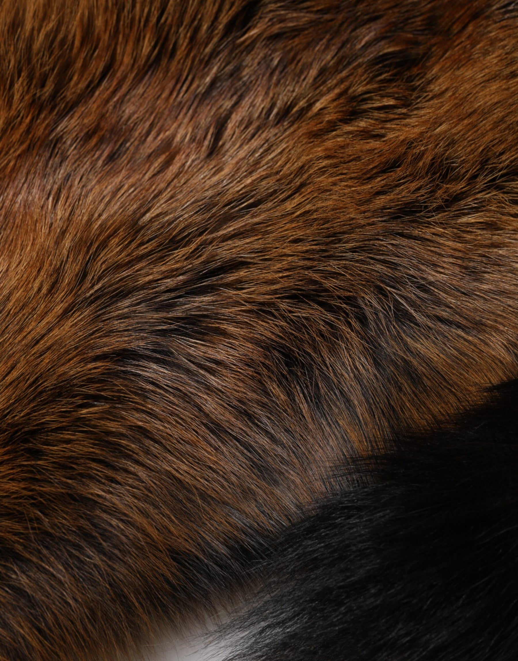 Dolce & Gabbana Brown Red Fox Fur Neck Cashmere Warmer Scarf | Regal Royce