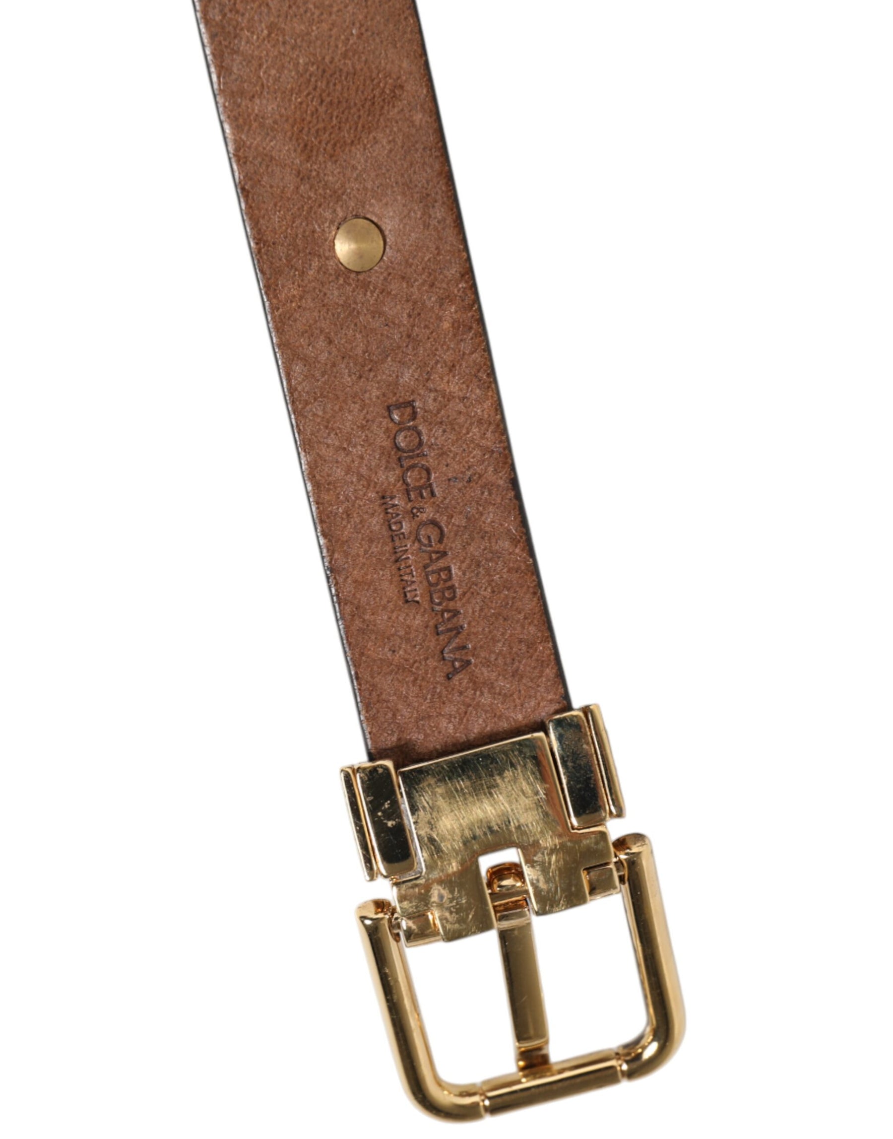 Dolce & Gabbana Brown Leather Gold Silver Coin Buckle Belt | Regal Royce