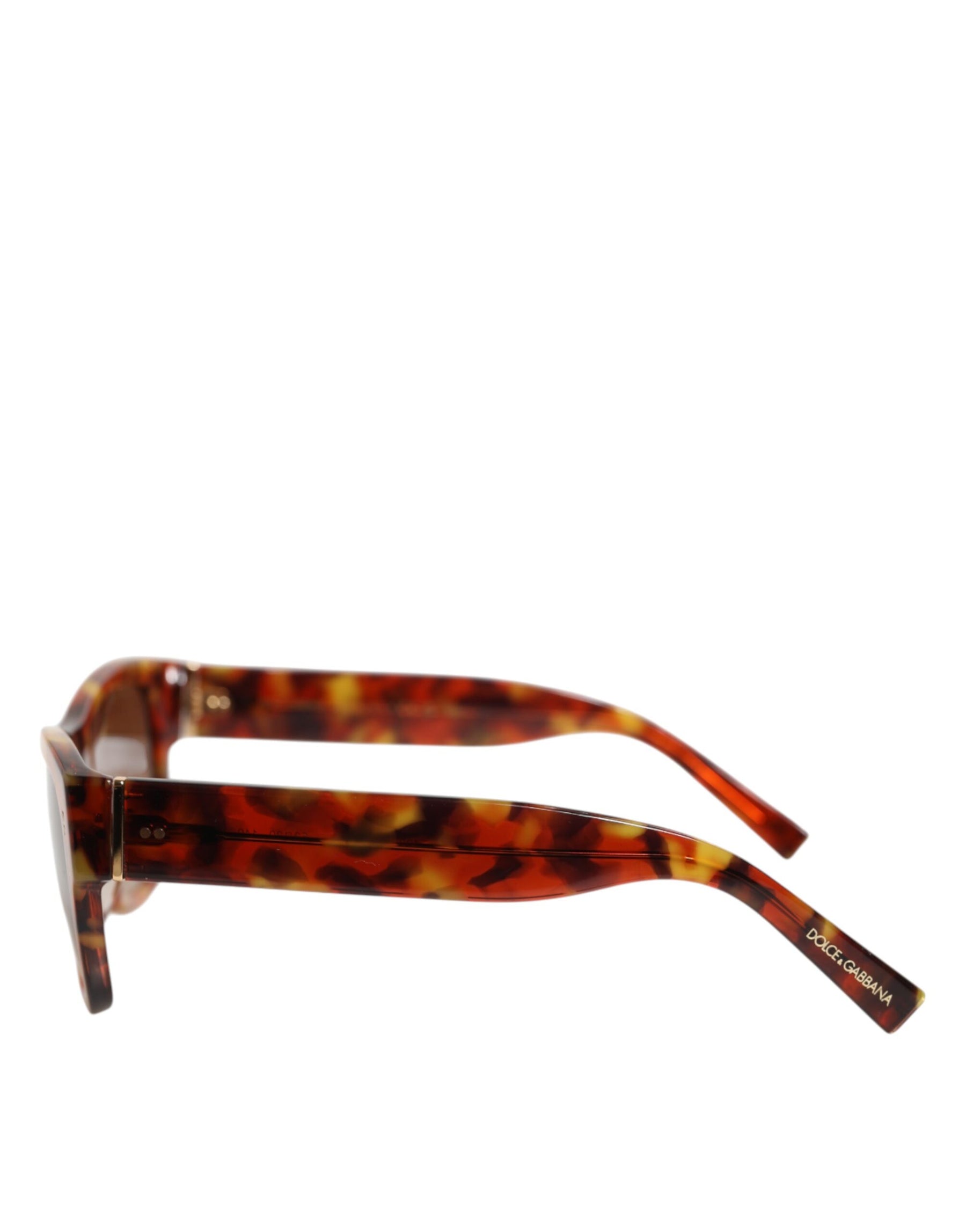 Dolce & Gabbana DG4338F Brown Havana Full Rim Round Lenses Sunglasses | Regal Royce