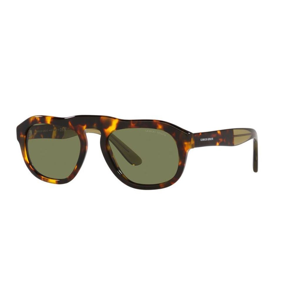 Giorgio Armani Brown Acetate Sunglasses | Regal Royce
