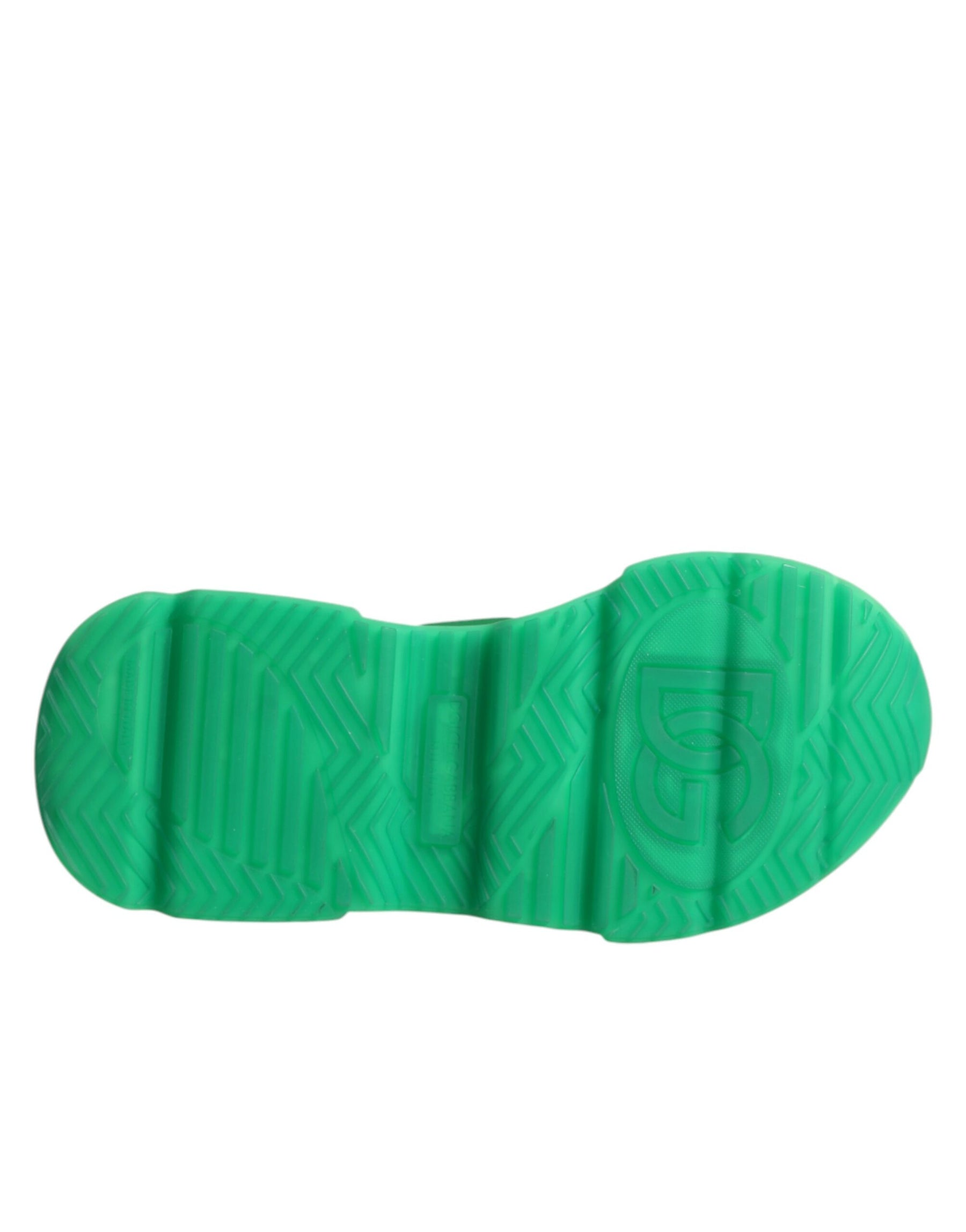 Dolce & Gabbana Multicolor Daymaster Low Top Sneakers Shoes | Regal Royce