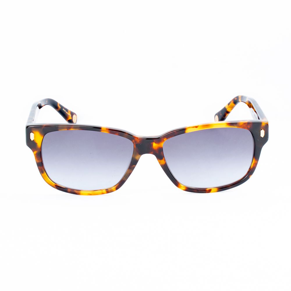 Belstaff Brown Acetate Sunglasses | Regal Royce