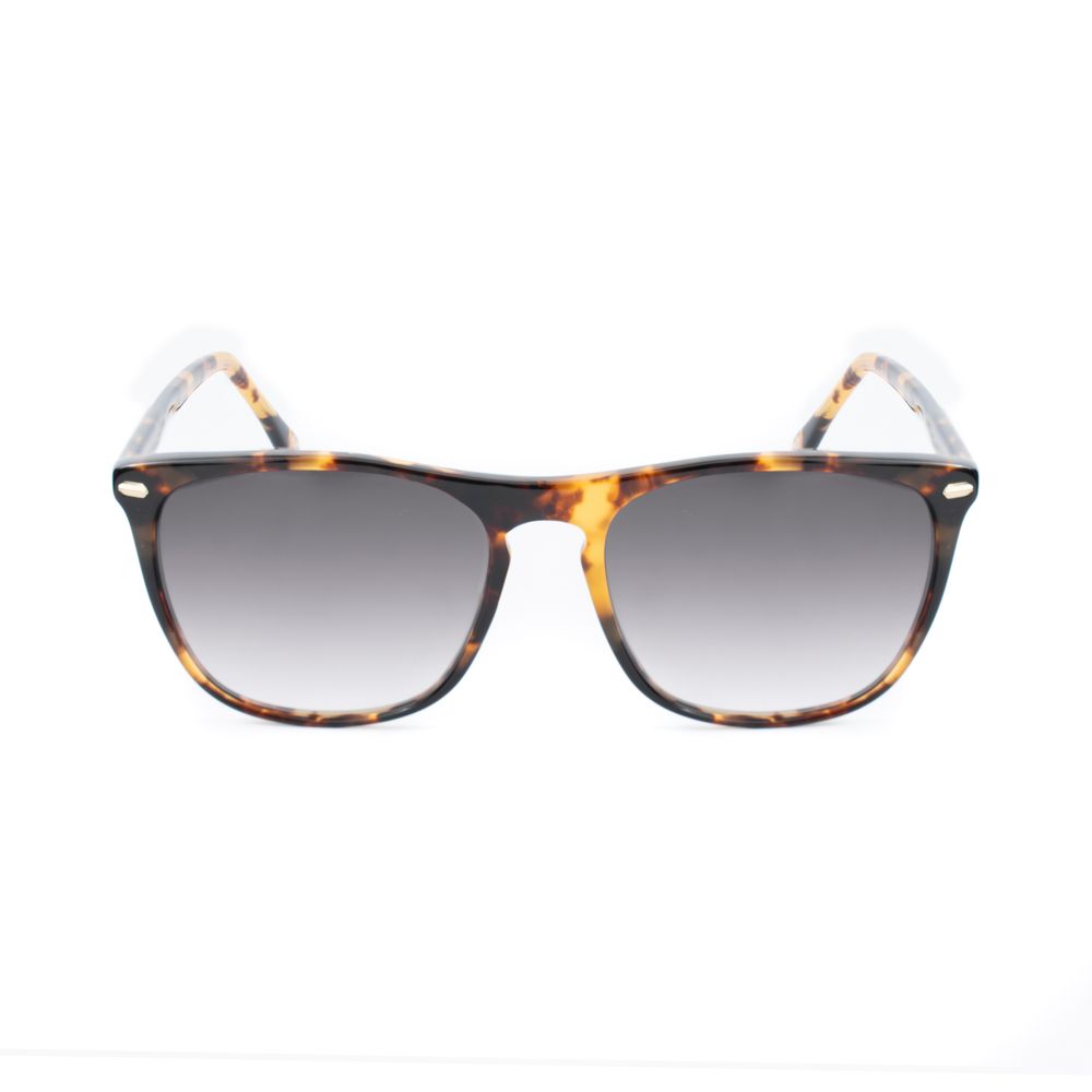 Belstaff Brown Acetate Sunglasses | Regal Royce