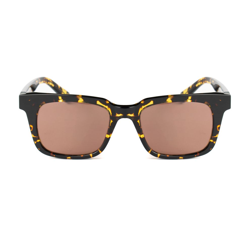 Belstaff Brown Acetate Sunglasses | Regal Royce