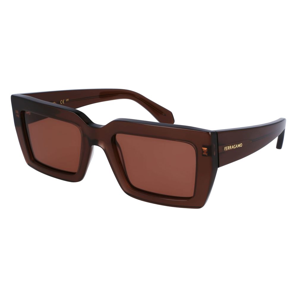 Ferragamo Brown Acetate Sunglasses | Regal Royce