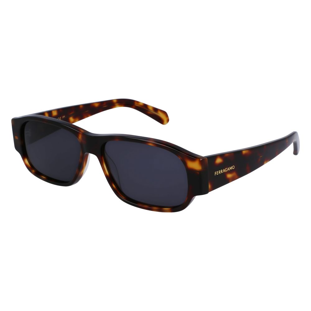 Ferragamo Brown Acetate Sunglasses | Regal Royce