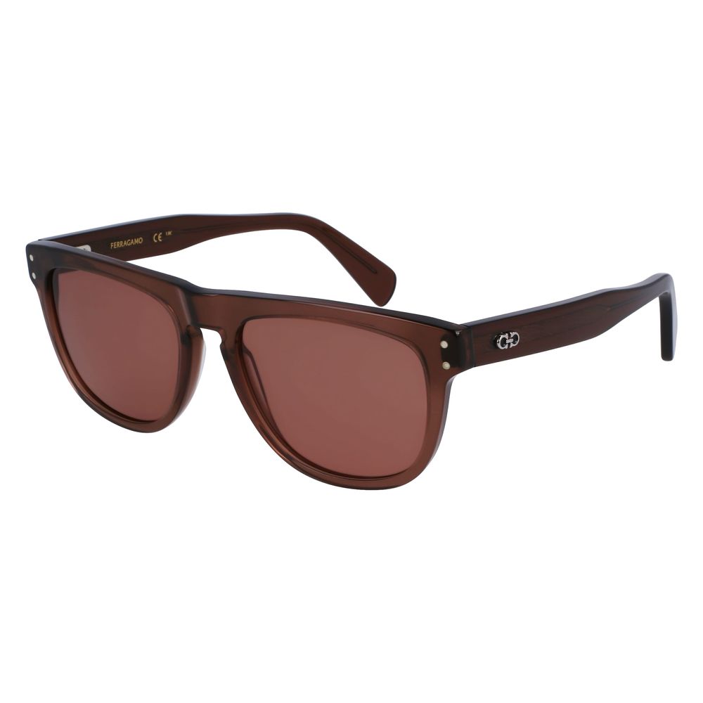 Ferragamo Brown Acetate Sunglasses | Regal Royce