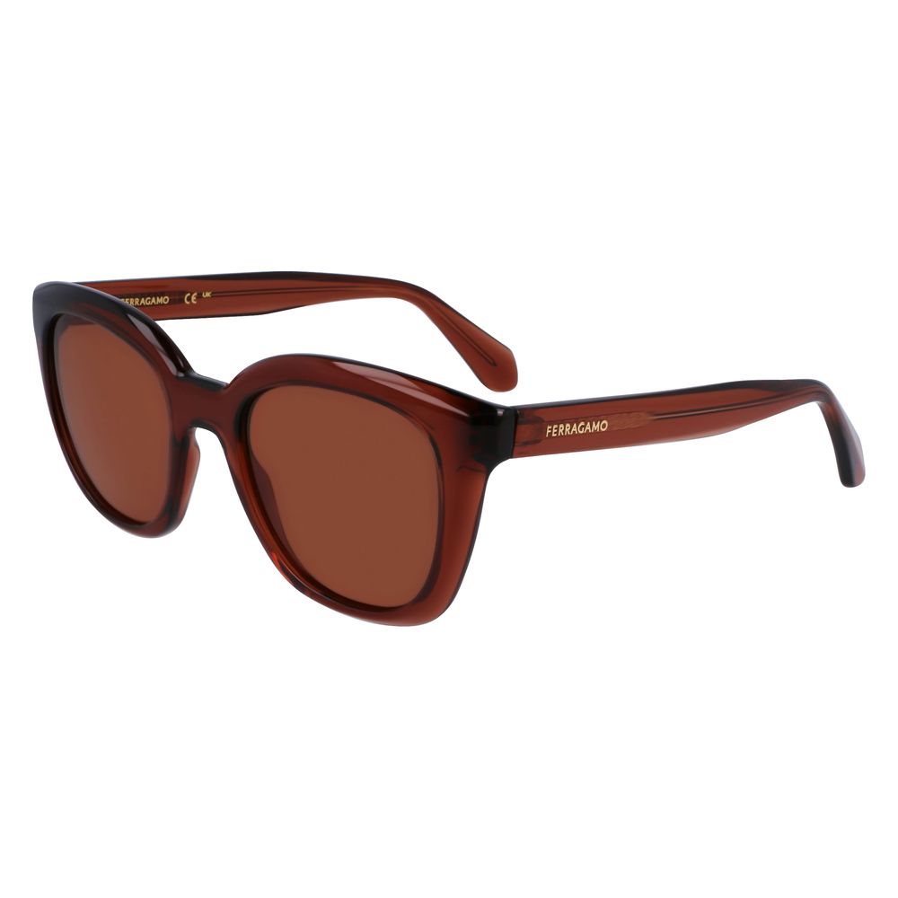 Ferragamo Brown Injected Sunglasses | Regal Royce