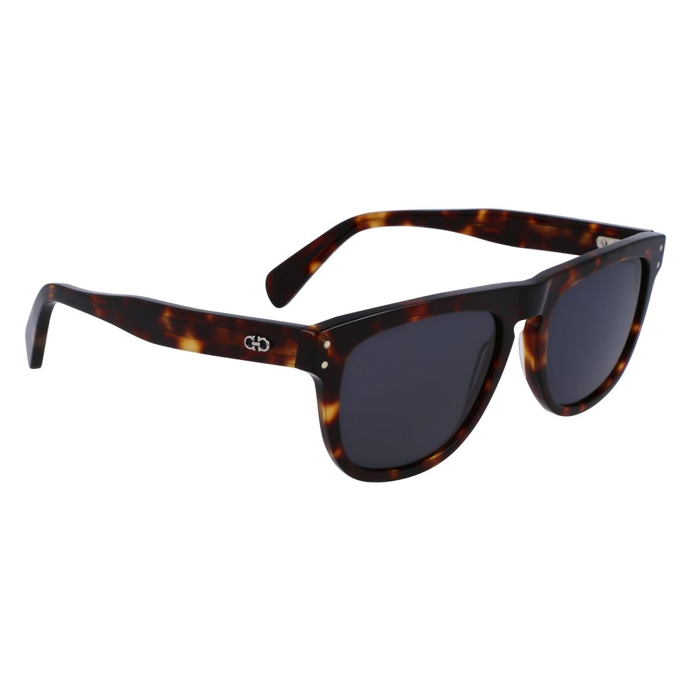 Ferragamo Brown Acetate Sunglasses | Regal Royce