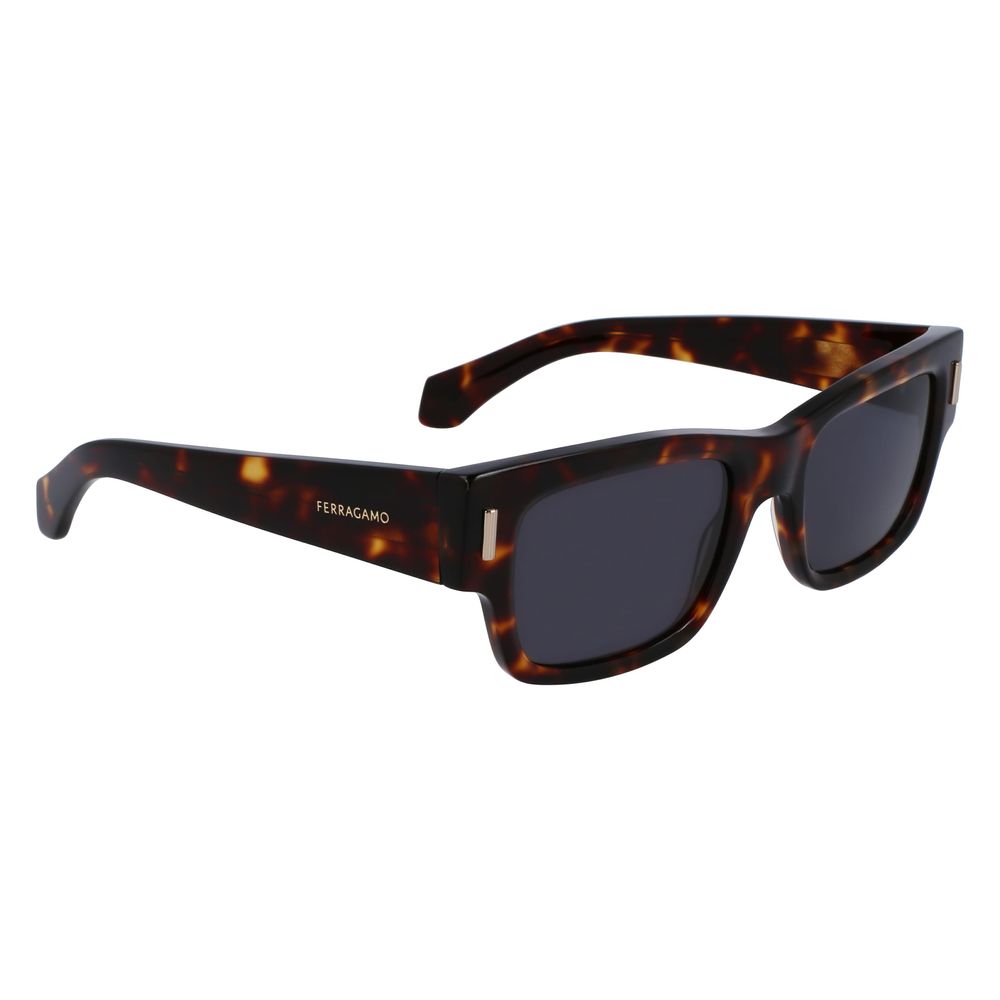 Ferragamo Brown Acetate Sunglasses | Regal Royce