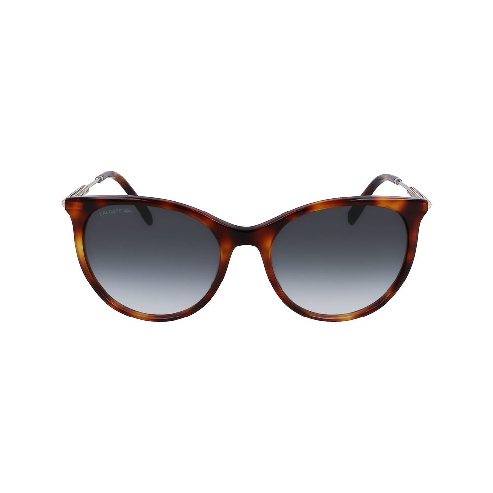 Lacoste Brown Acetate Sunglasses | Regal Royce