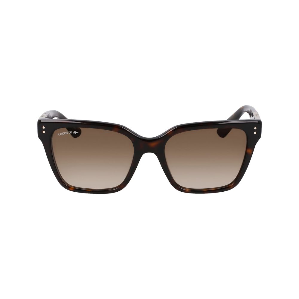 Lacoste Brown Acetate Sunglasses | Regal Royce