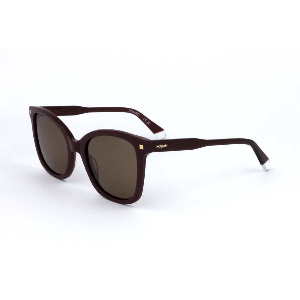Polaroid Multicolor Acetate Sunglasses | Regal Royce
