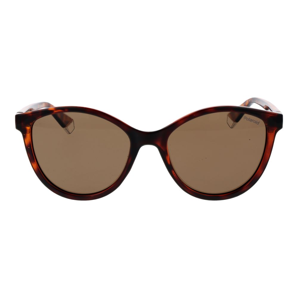 Polaroid Brown Plastic Sunglasses | Regal Royce