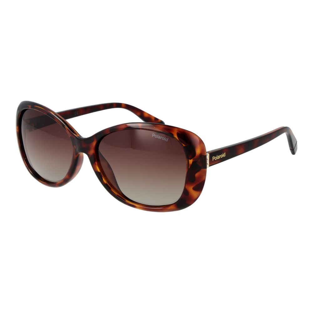Polaroid Brown Plastic Sunglasses | Regal Royce