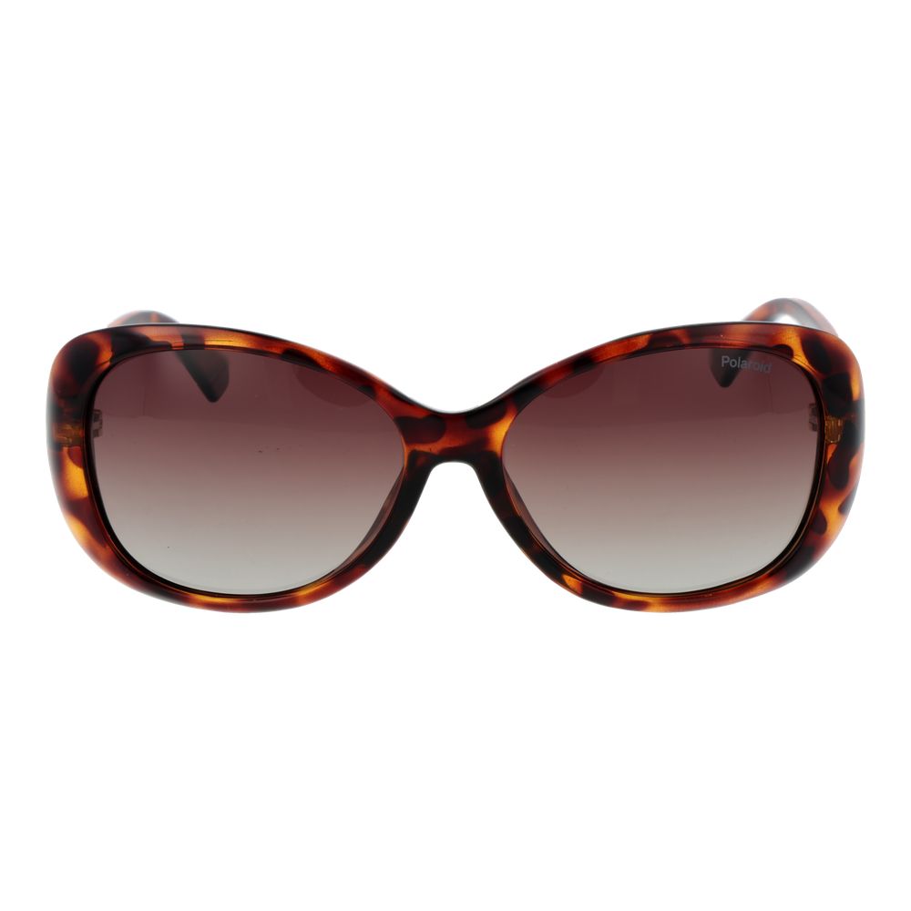 Polaroid Brown Plastic Sunglasses | Regal Royce