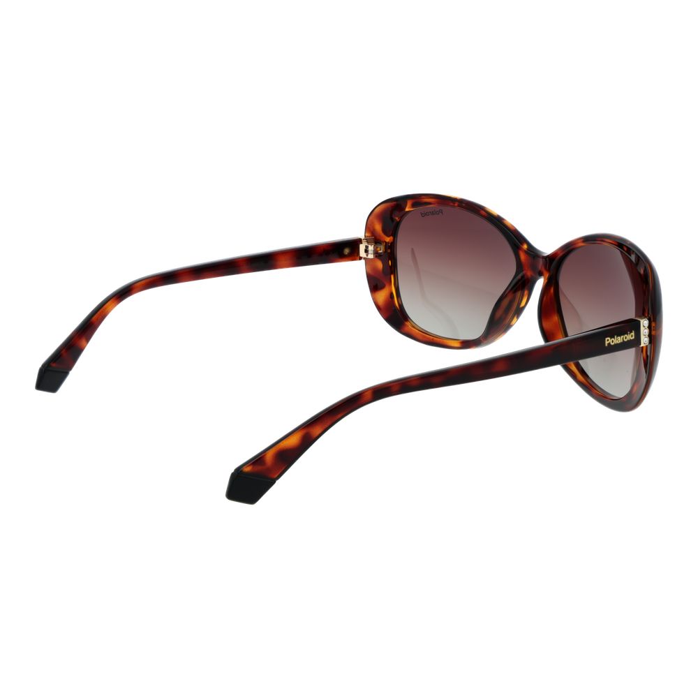 Polaroid Brown Plastic Sunglasses | Regal Royce