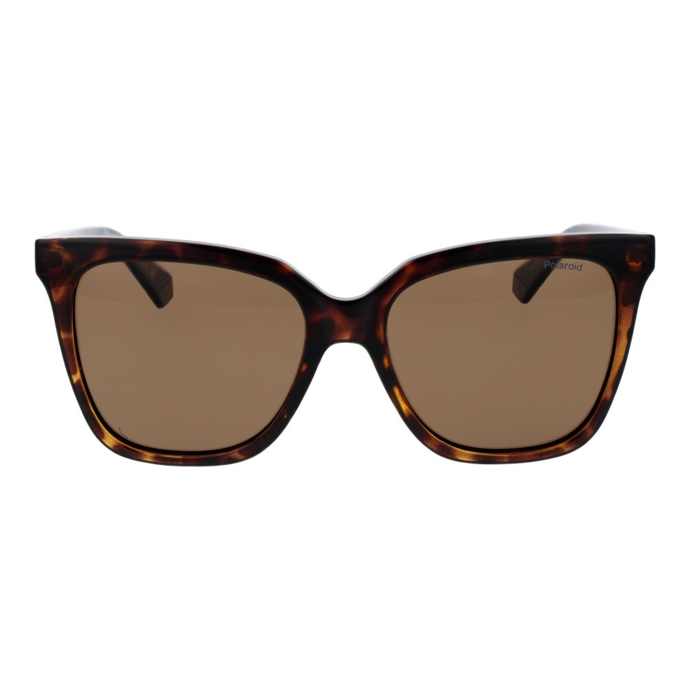 Polaroid Brown Polycarbonate Sunglasses | Regal Royce
