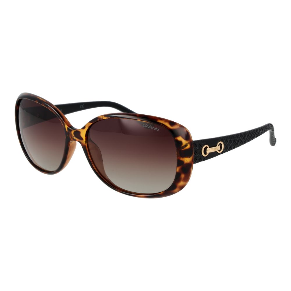 Polaroid Brown Plastic Sunglasses | Regal Royce
